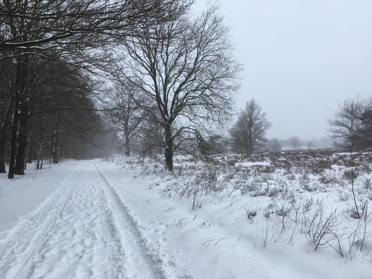 Buitenhuisje B&B De Veldweg Heerde エクステリア 写真