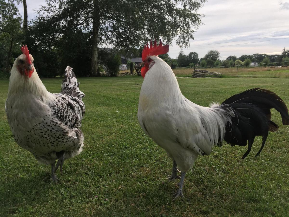 Buitenhuisje B&B De Veldweg Heerde エクステリア 写真